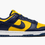 Nike Dunk Low Michigan (GS)