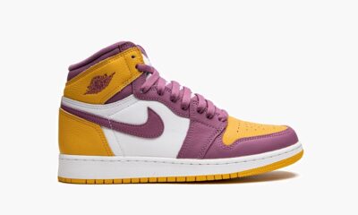 Air Jordan 1 Retro High OG GS Brotherhood