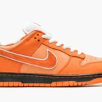 Nike dunk low Concepts Orange Lobster