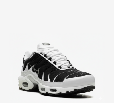 Nike Air Max Plus TN ‘Killer Whale